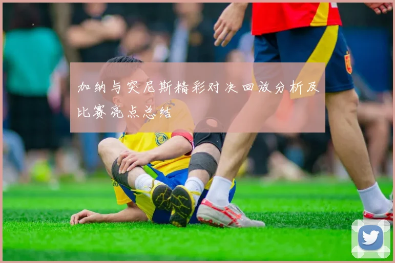 加纳与突尼斯精彩对决回放分析及比赛亮点总结