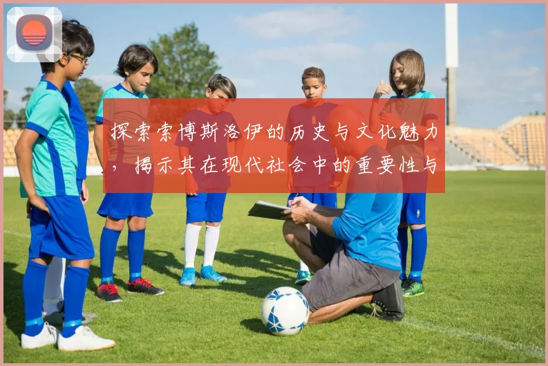探索索博斯洛伊的历史与文化魅力，揭示其在现代社会中的重要性与影响力