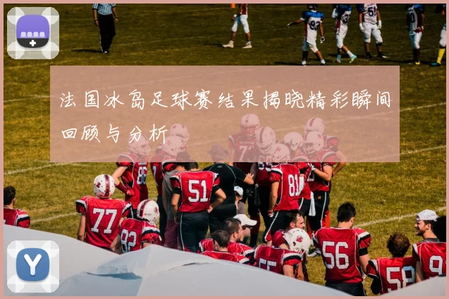 法国冰岛足球赛结果揭晓精彩瞬间回顾与分析